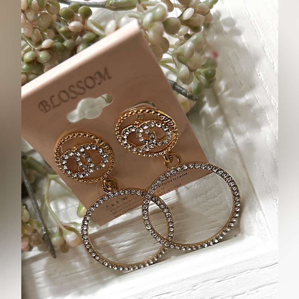 The Blossom Apparel Gold and Silver Oval Earrings - Picture 4 of 5